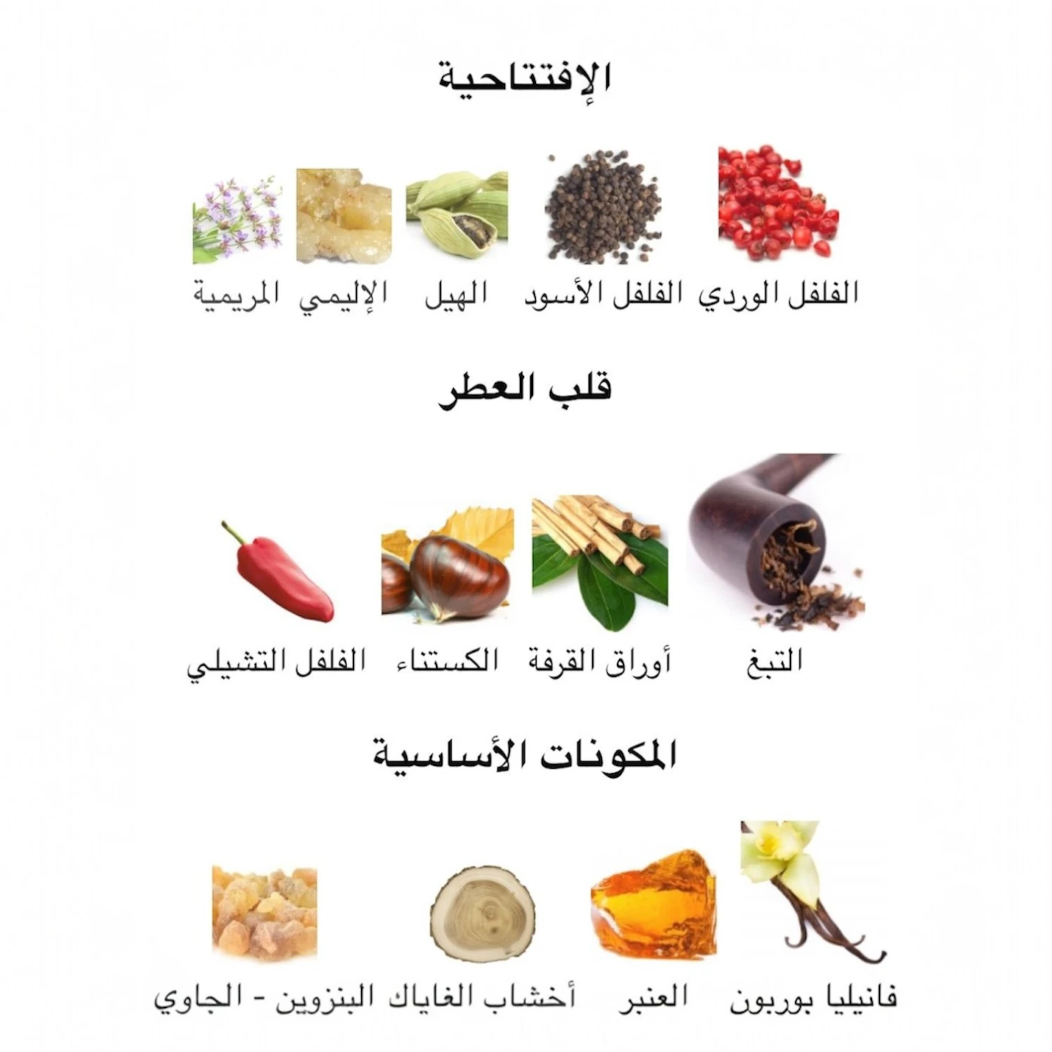 عطر سترونغر وذ يو توباكو الأحمر