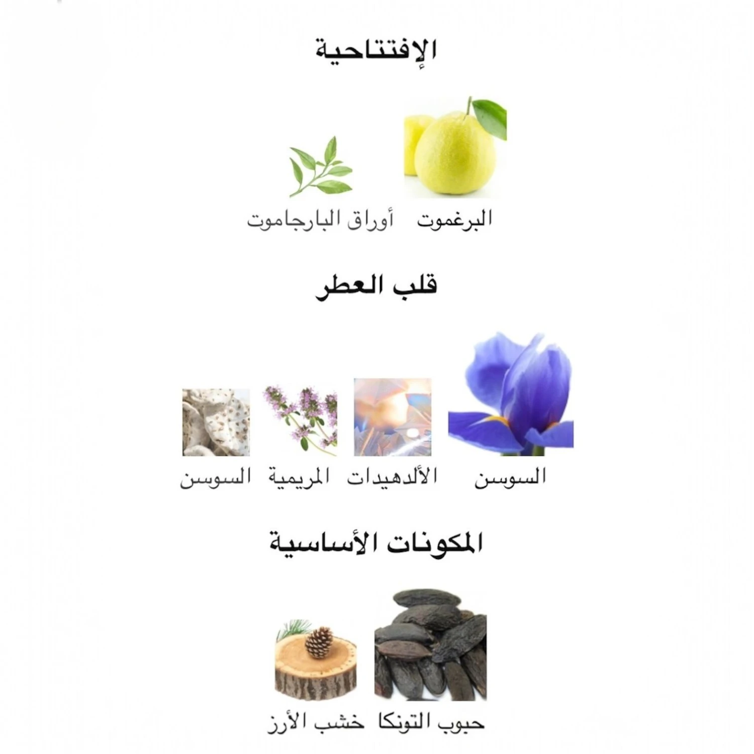 عطر ارماني كود بارفوم