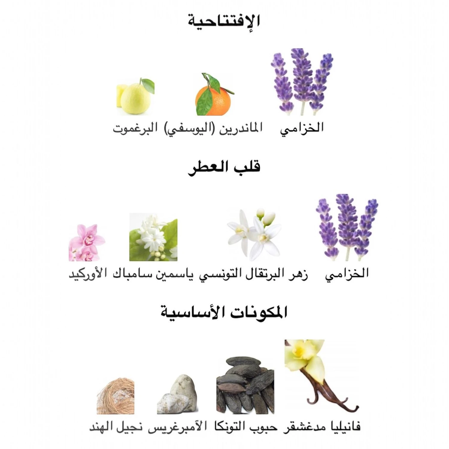 عطر ليبري ادو بارفوم انتنس