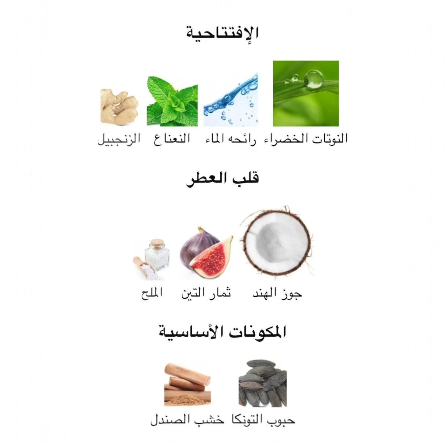 عطر لو بو بارادايس كاردن