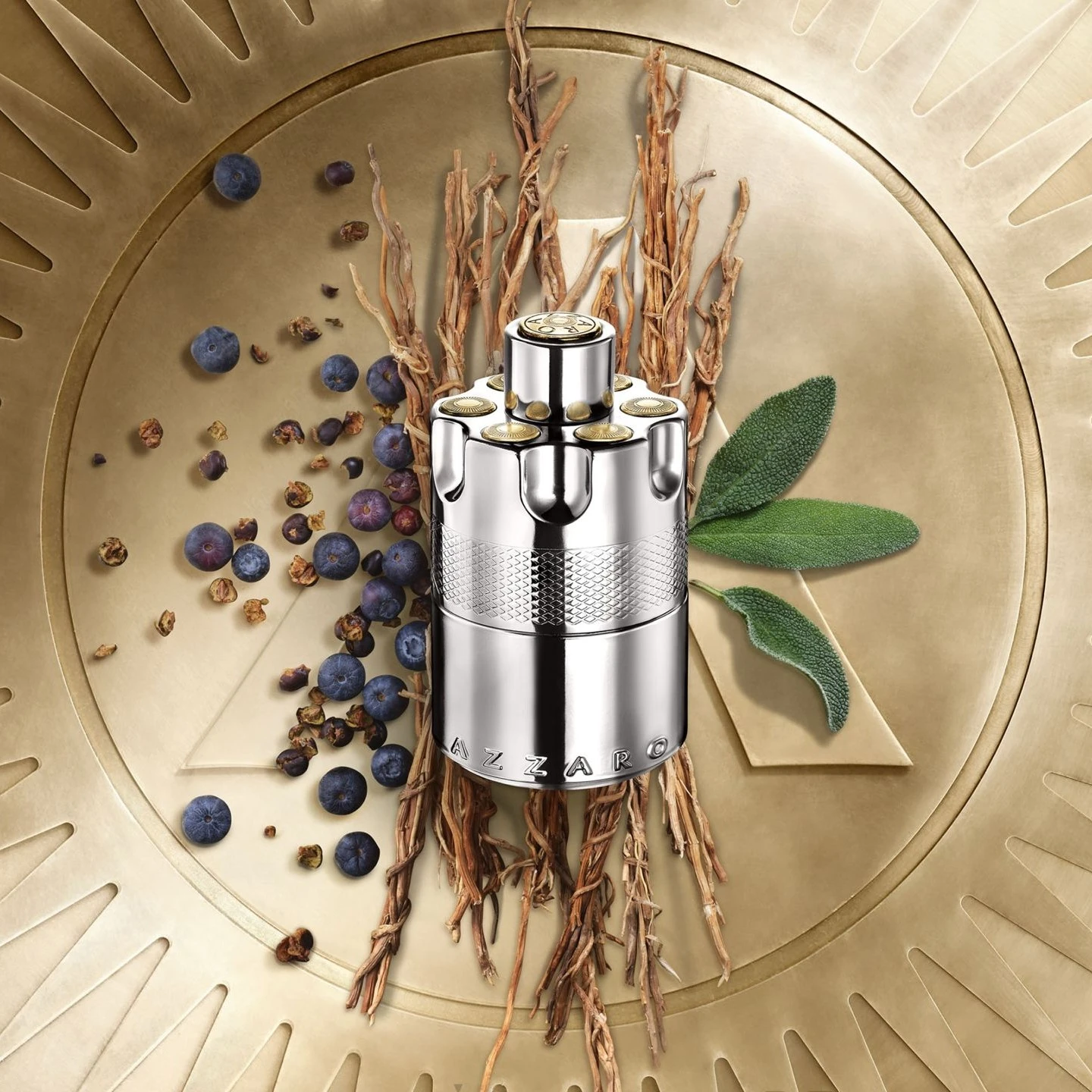 عطر ازارو وونتد 