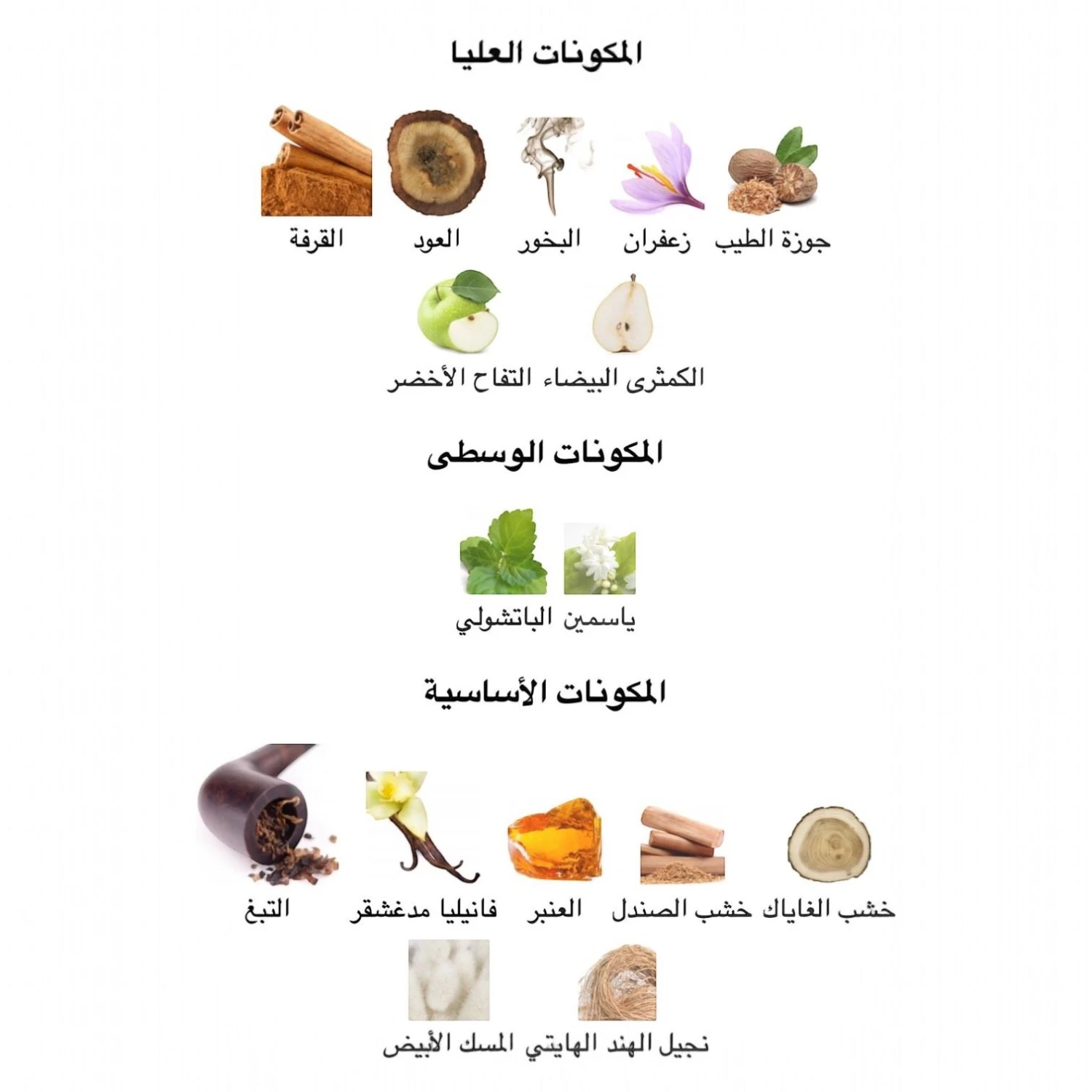 عطر مانسيرا رد توباكو