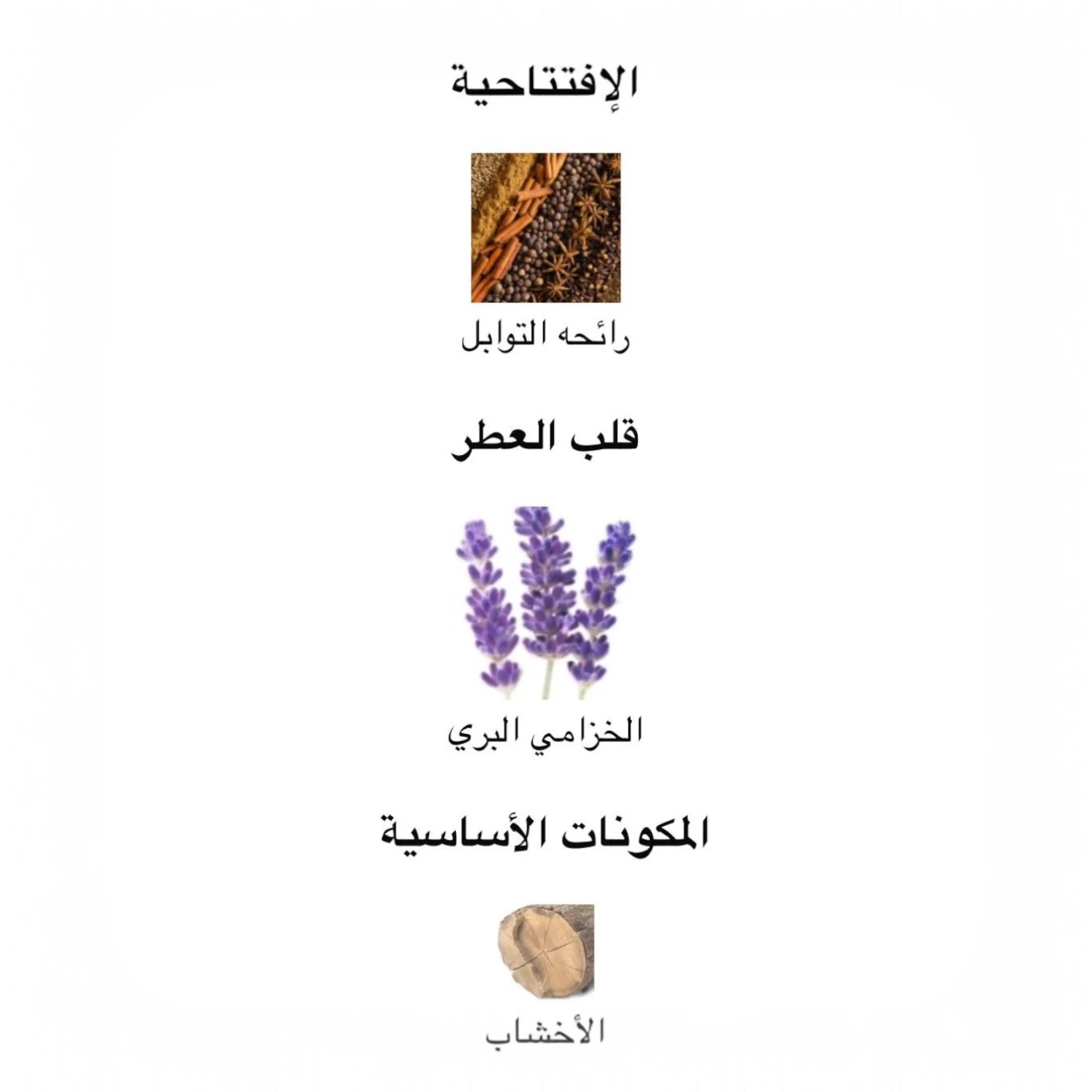 عطر فالنتينو اومو اسود