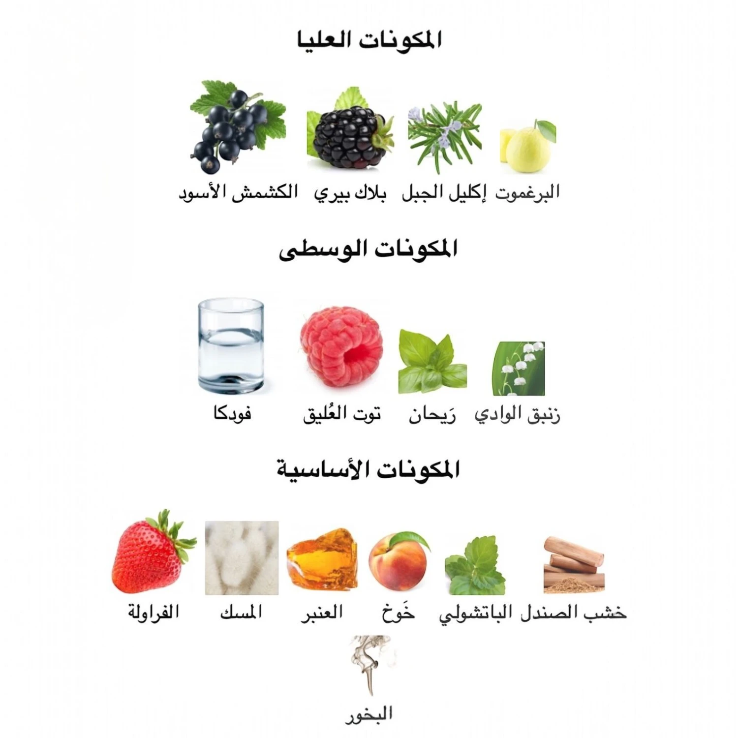عطر فولكان باي