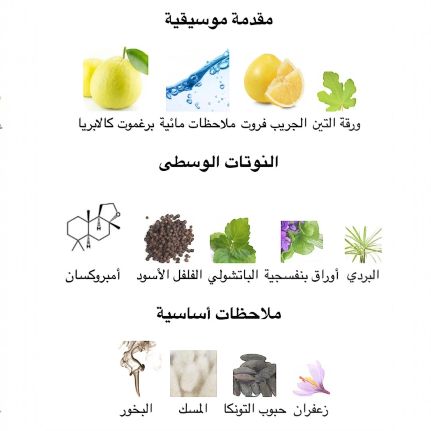عطر ديلان بلو بور هوم