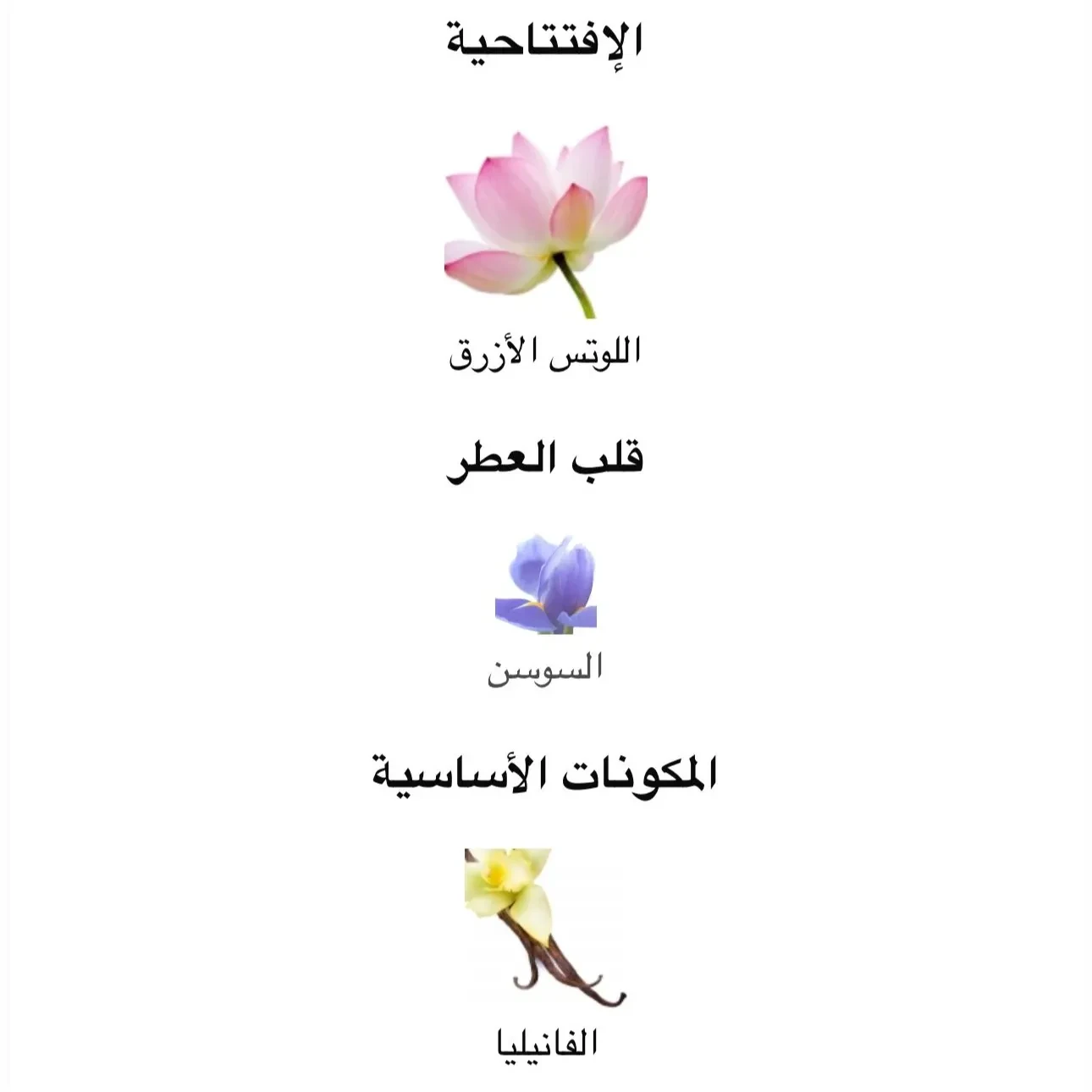 عطر لابيل بارادايس كاردن 