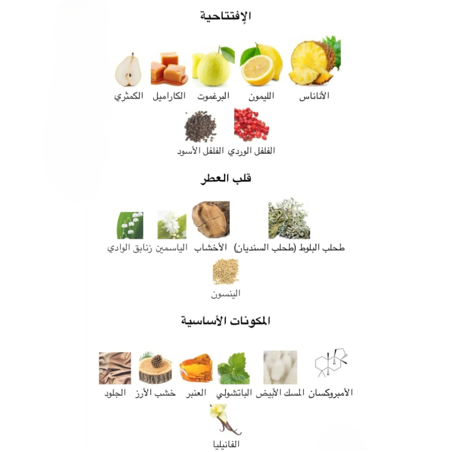 عطر كلاب دي نويت بريسيو وان
