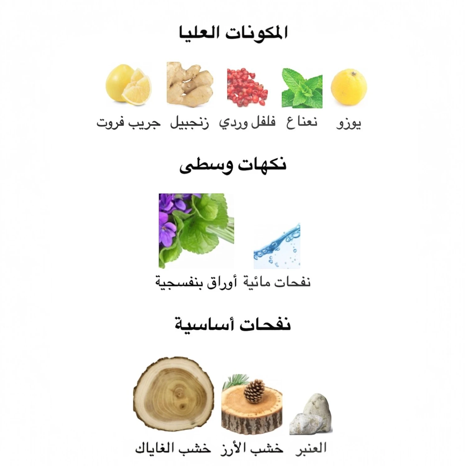 عطر امبرا دبي نايتس 