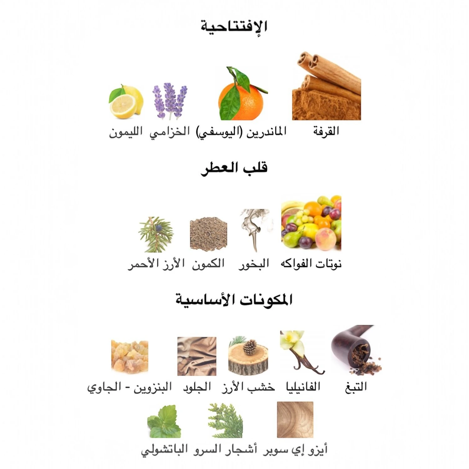 عطر ازارو وونتد باي نايت