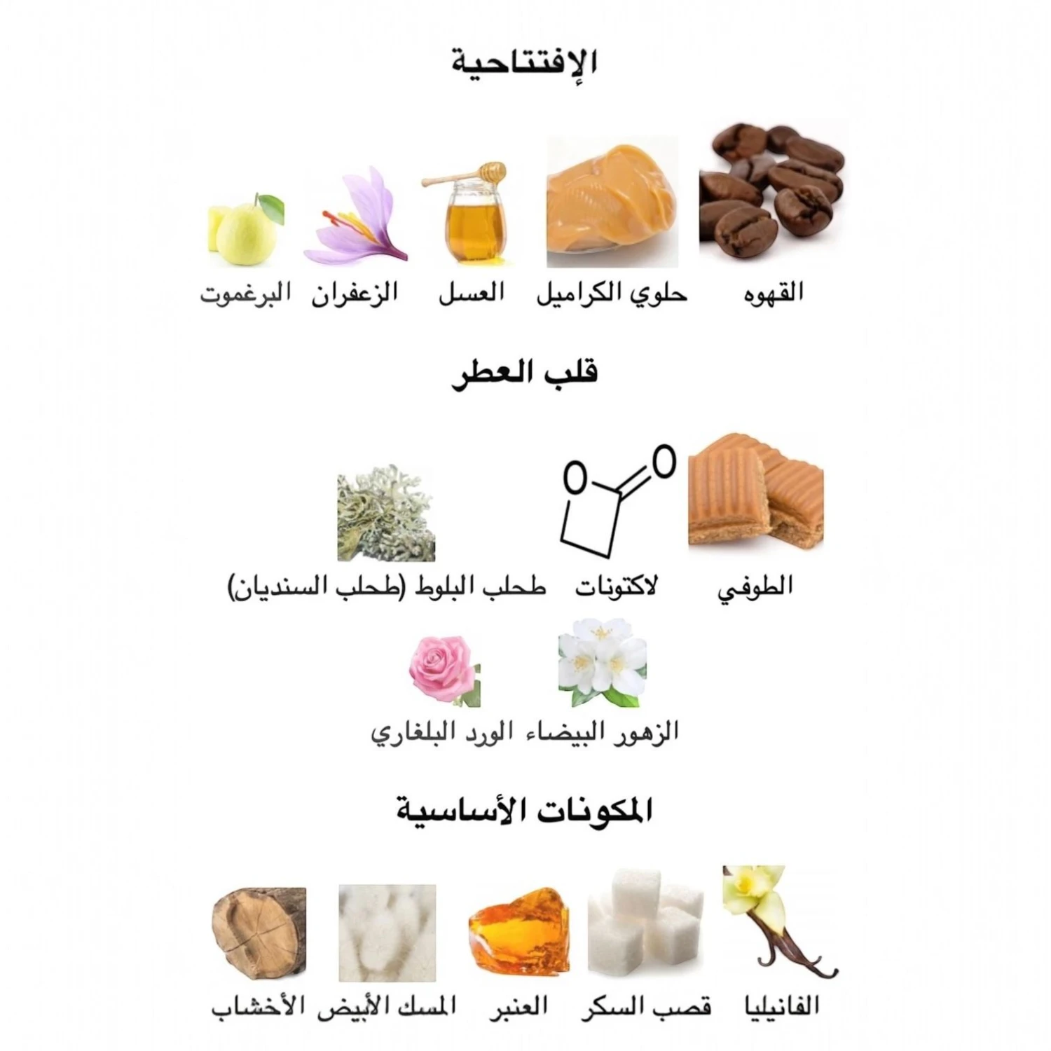 عطر اوديسي توفي كوفي 