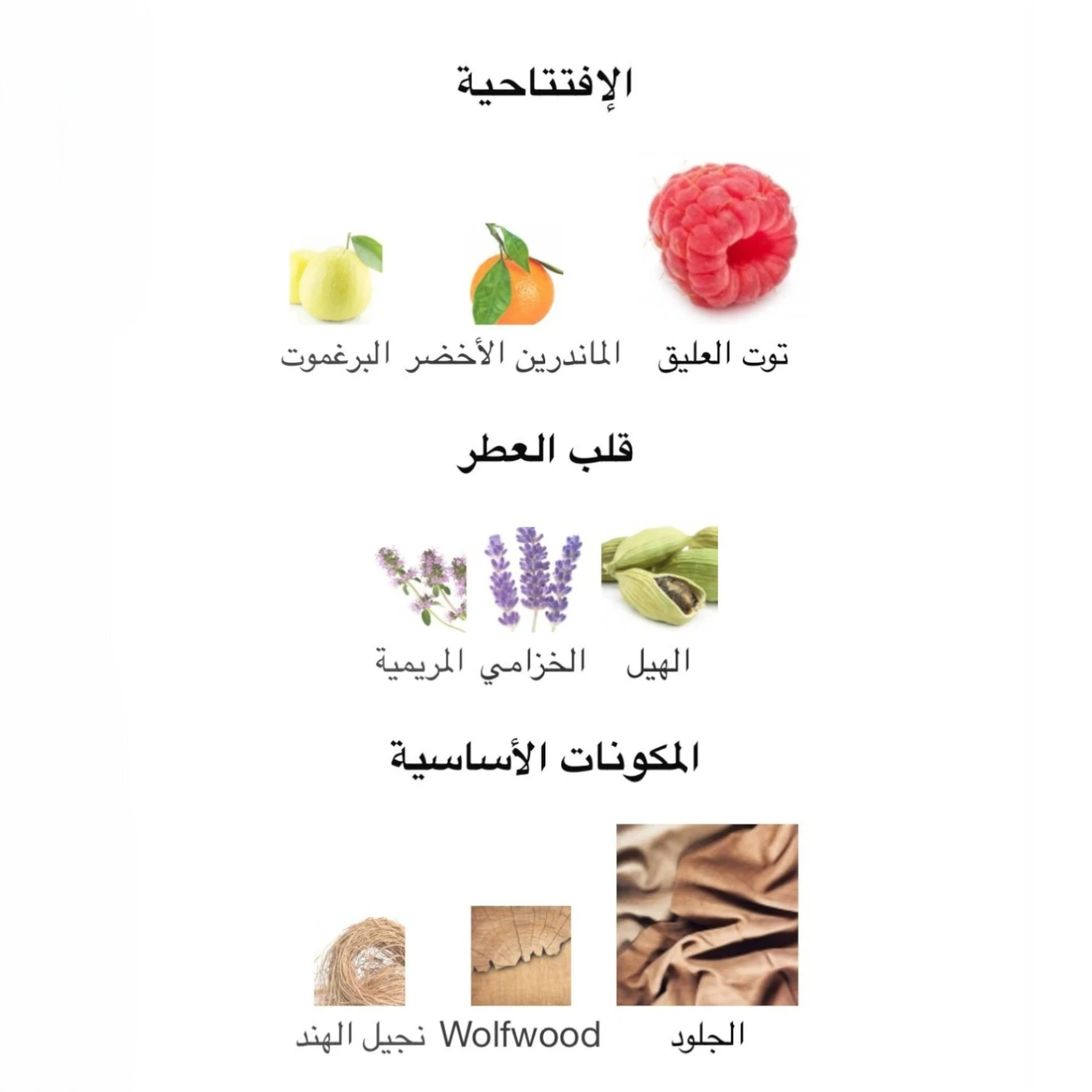 عطر ازارو وونتد فورايفر الكسير