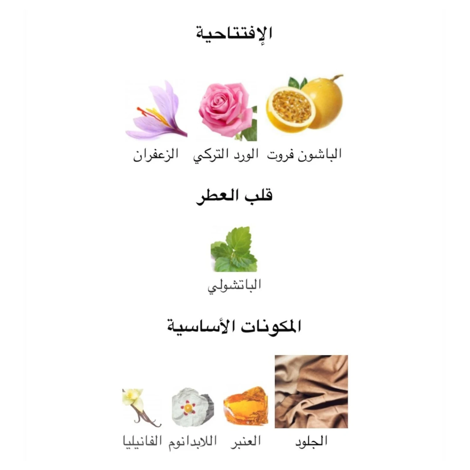 عطر وردة الصحراء
