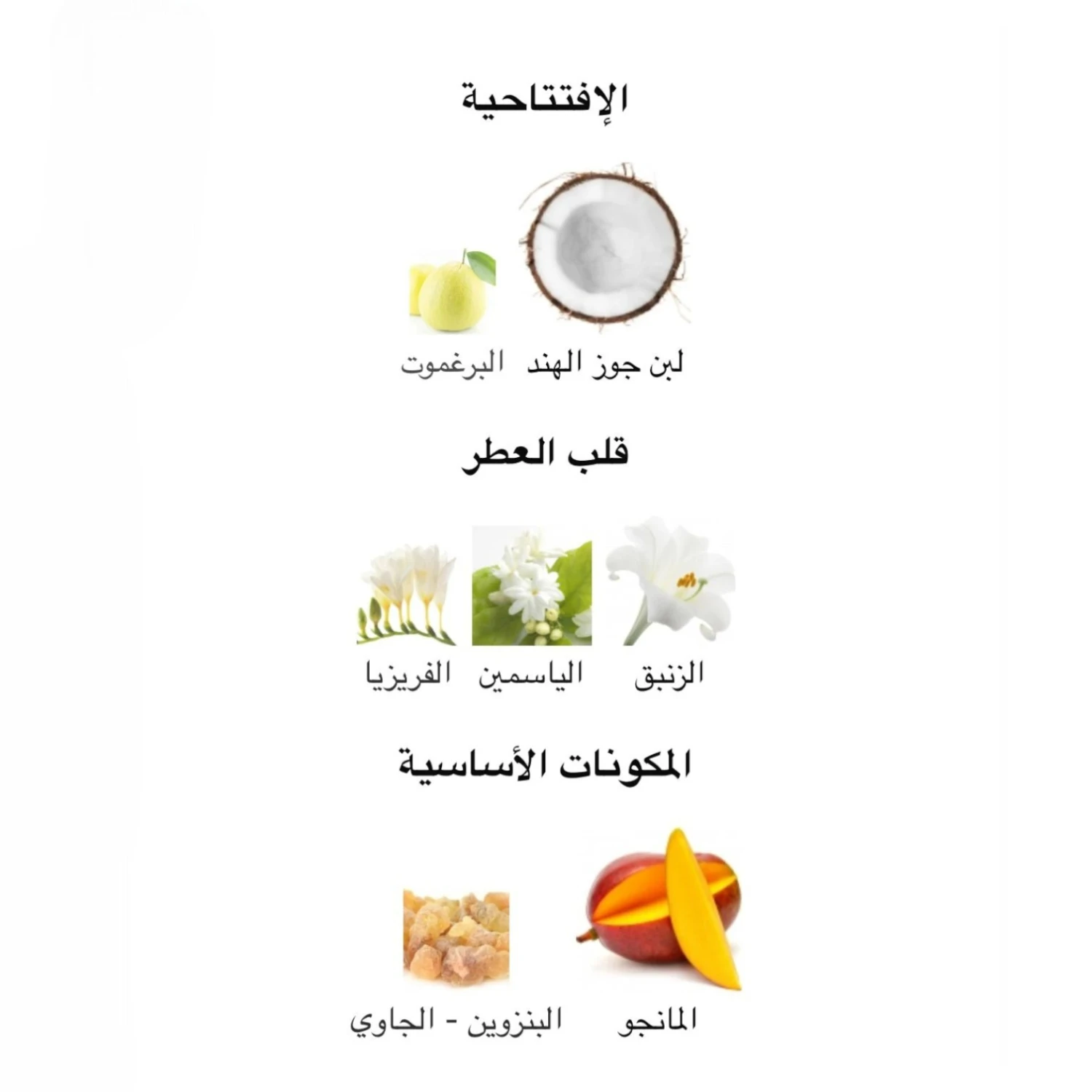 عطر فلور بومب تايكر ليلي 