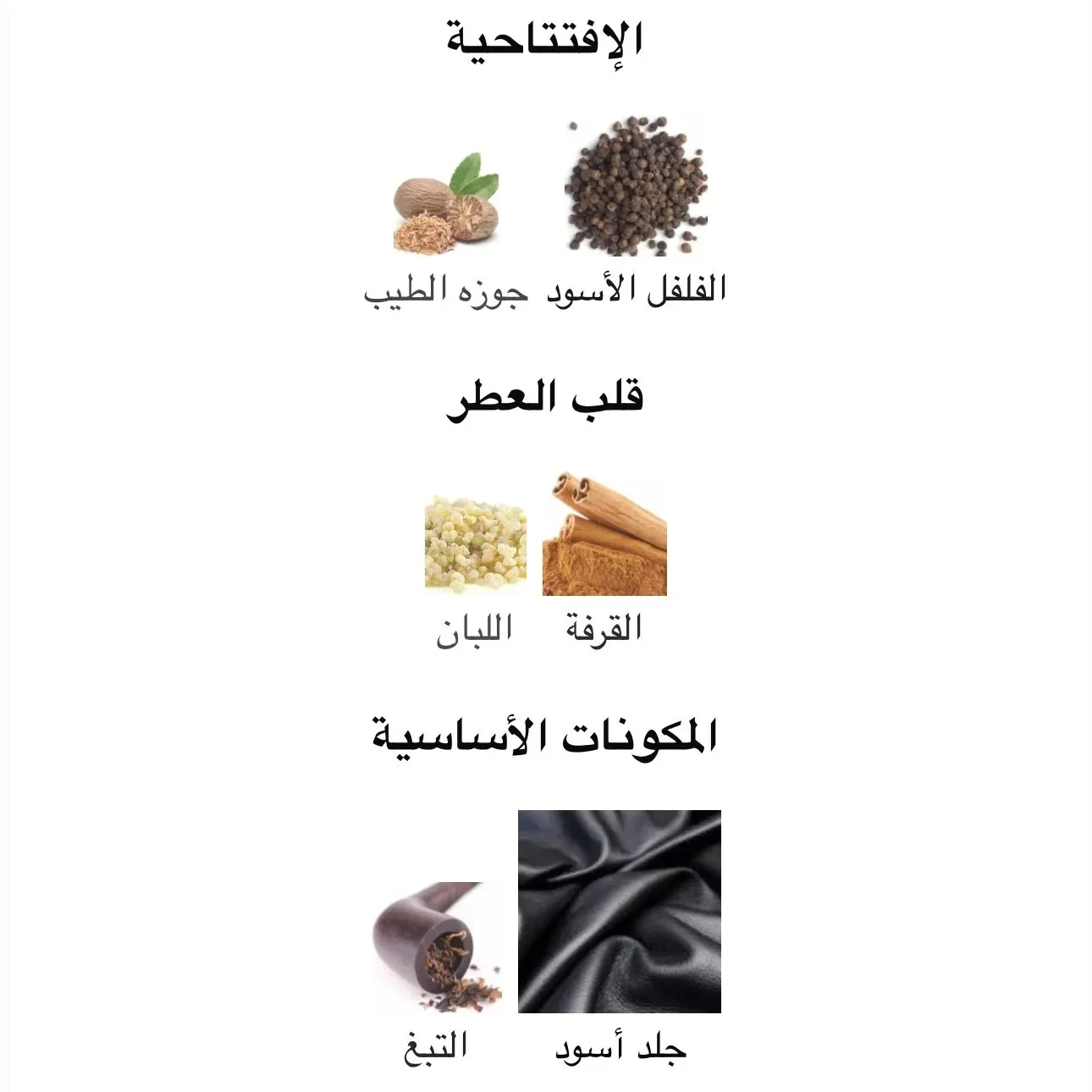 عطر سبايس بومب دارك ليذر 