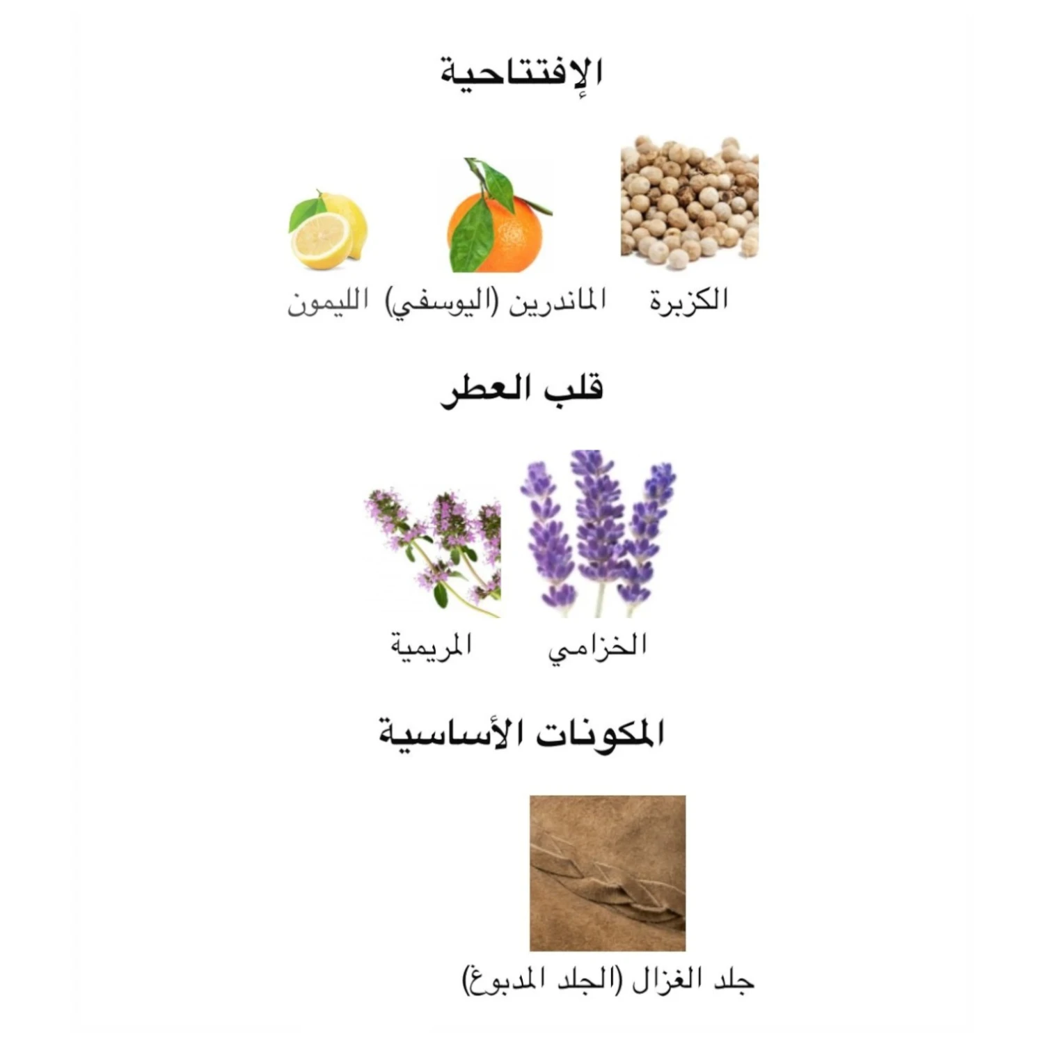 عطر اونلي ذا بريف 
