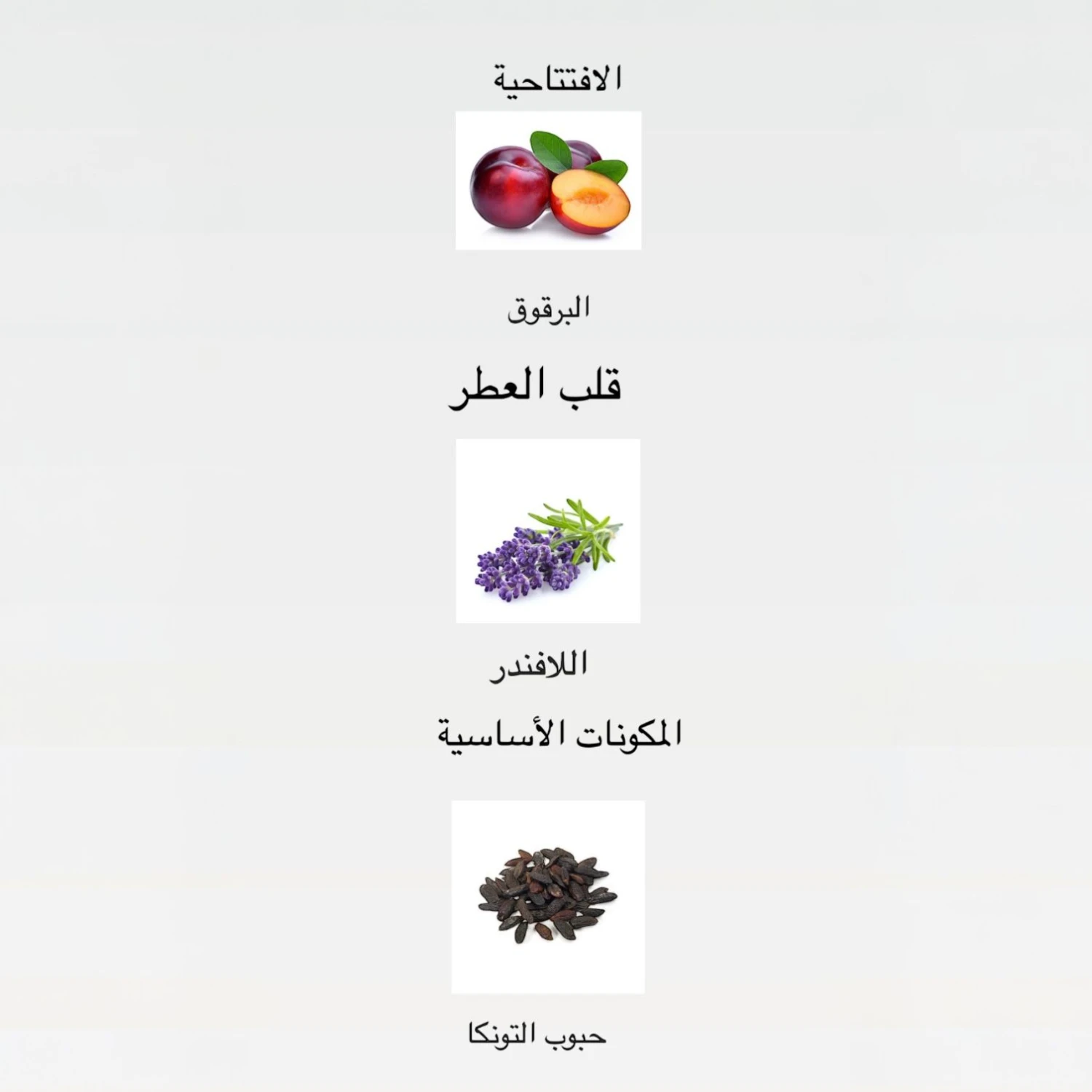 عطر لو ميل اليكسير ابسولو