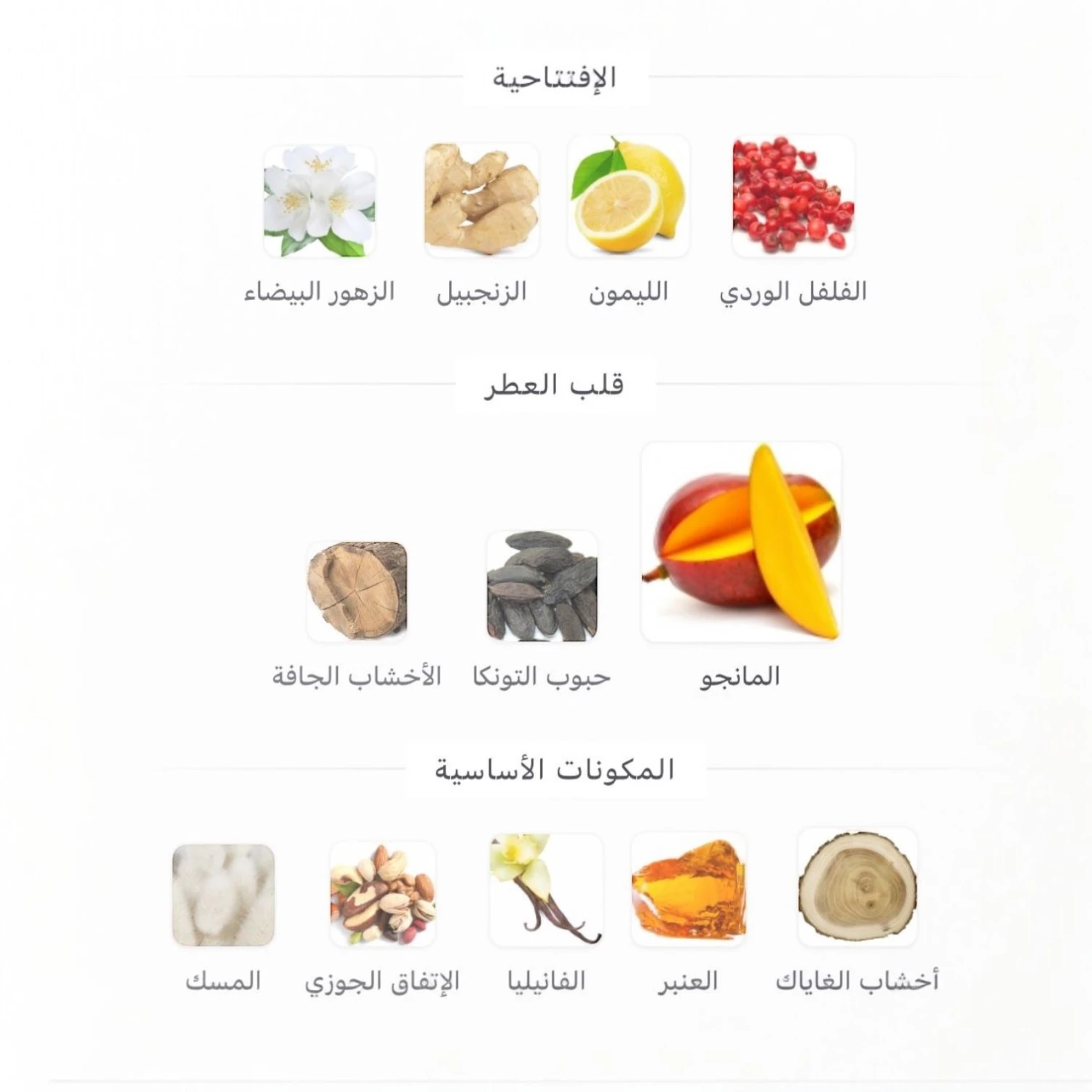 عطر اوديسي كو مانجو 