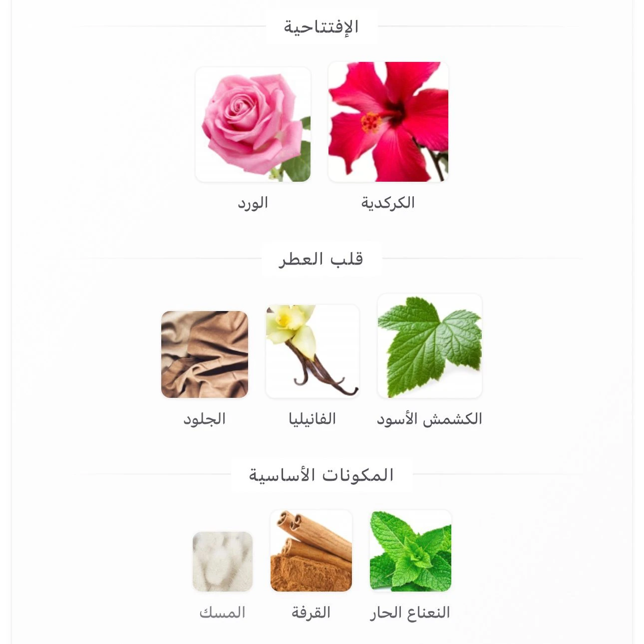 عطر ليغ بريمير