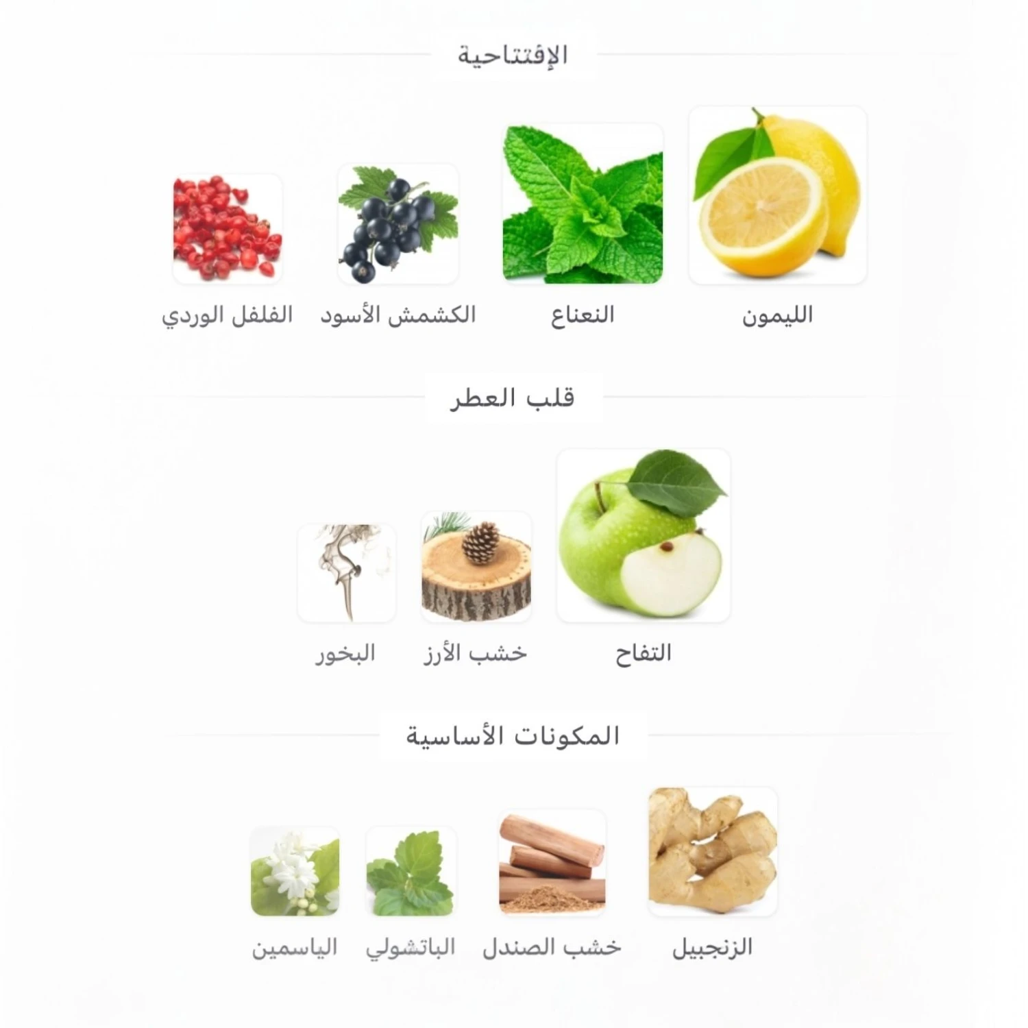 عطر ناين اي ام دايف