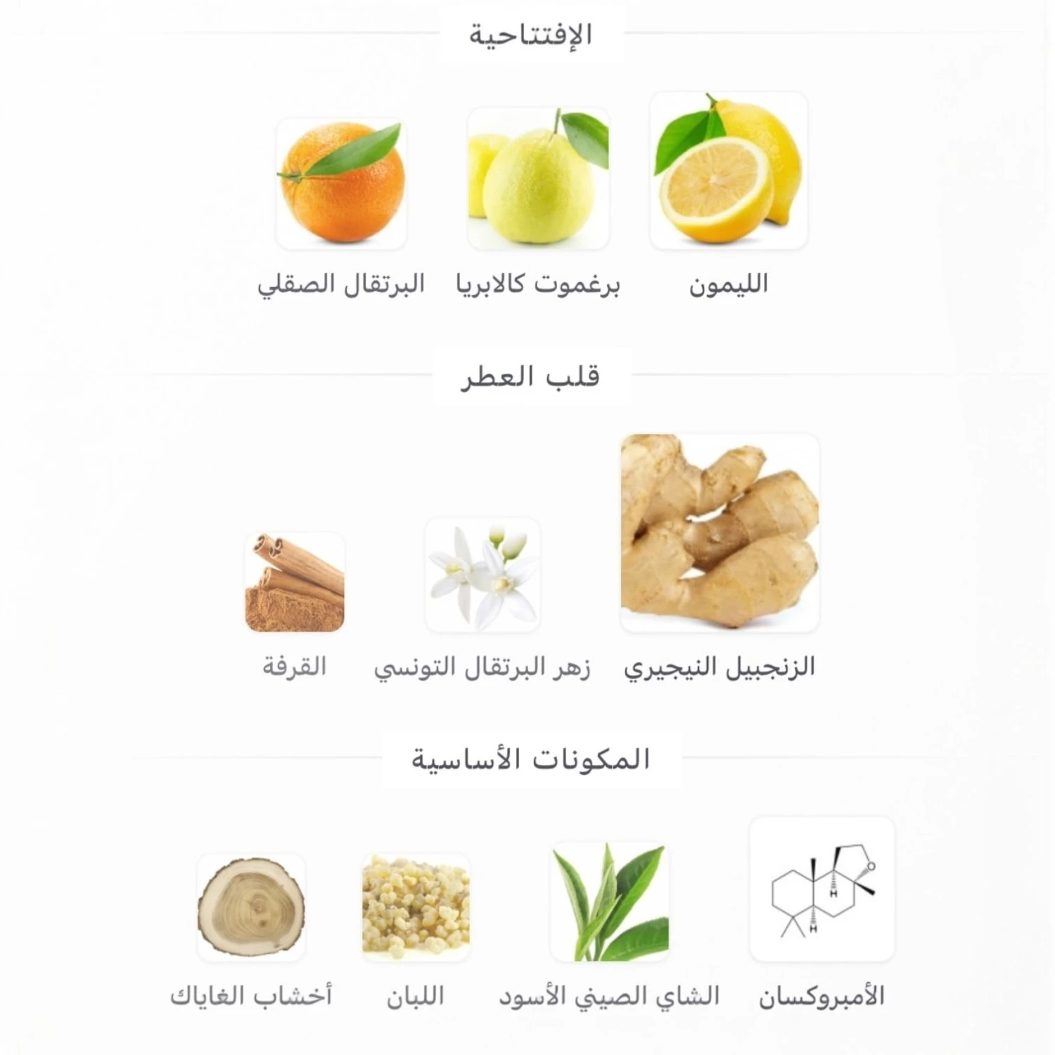 عطر هيرش تو