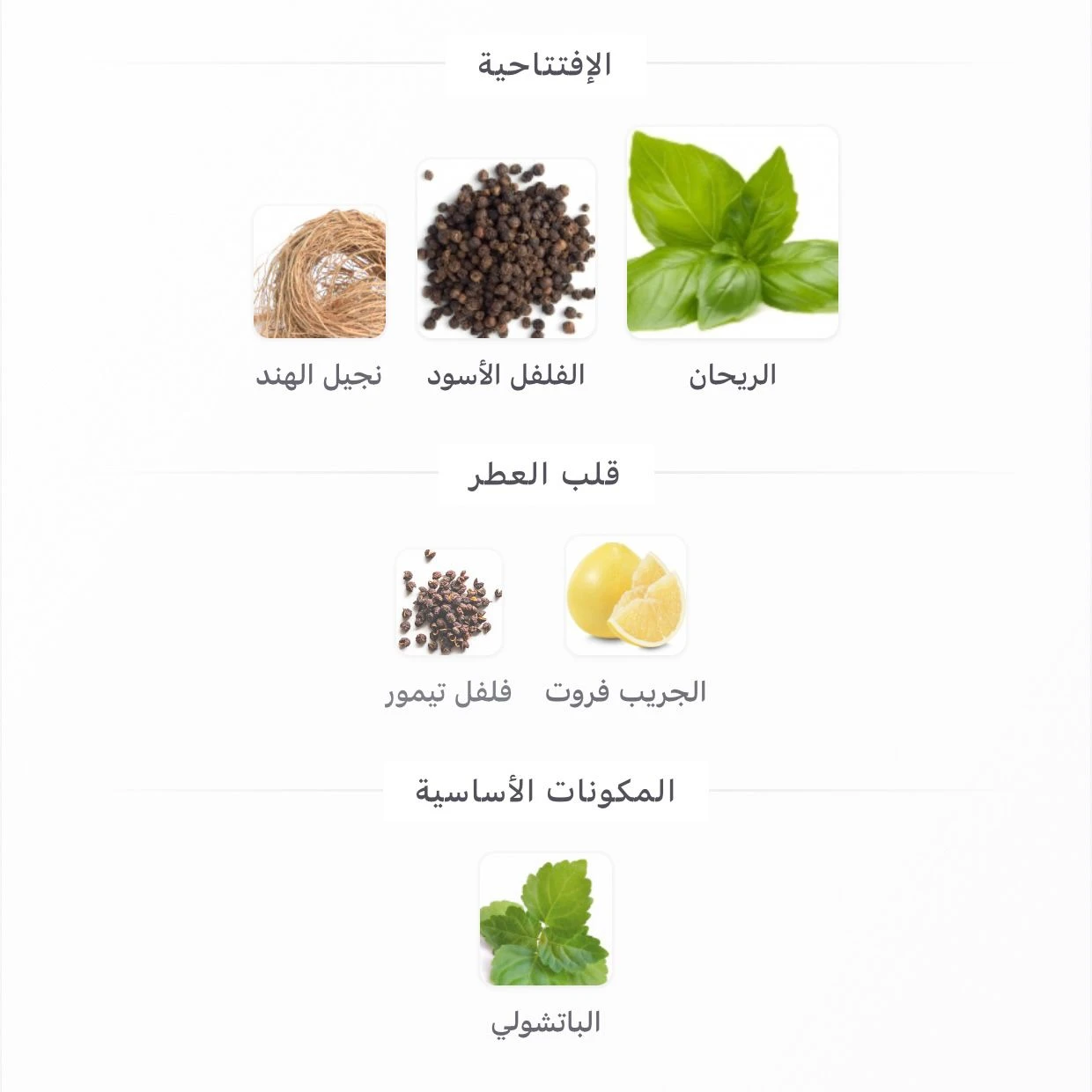 عطر هيرش لهب