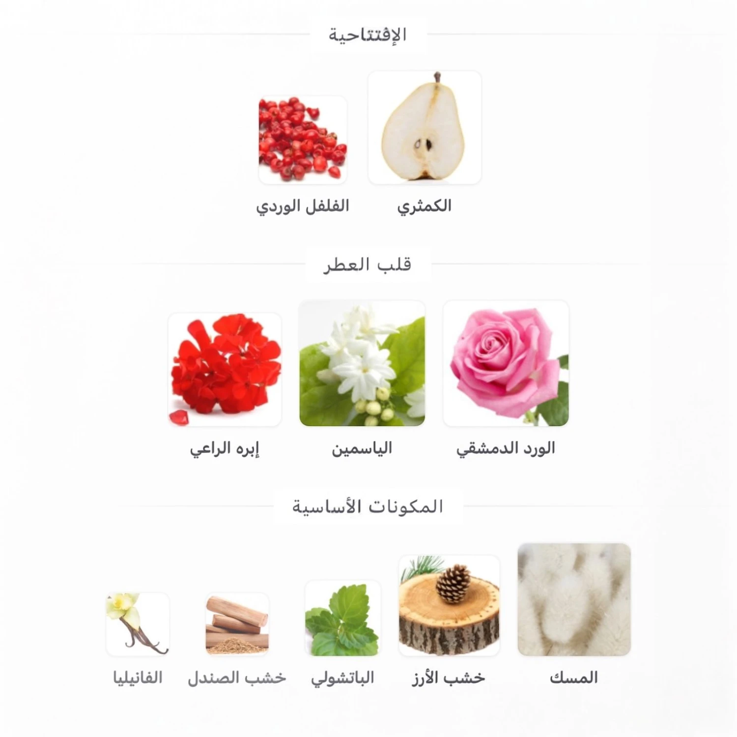 Secret Garden Perfume