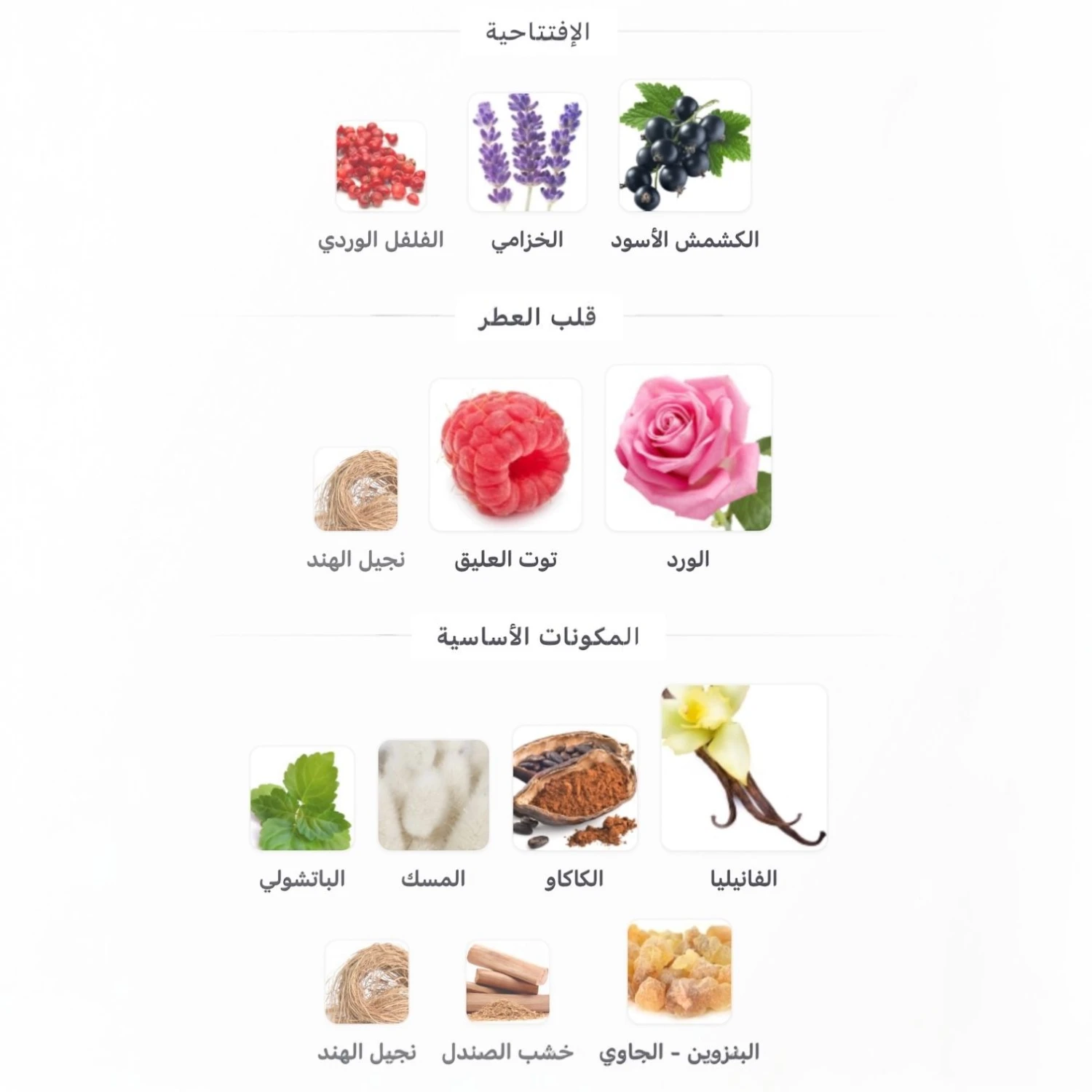 عطر ليدي روز