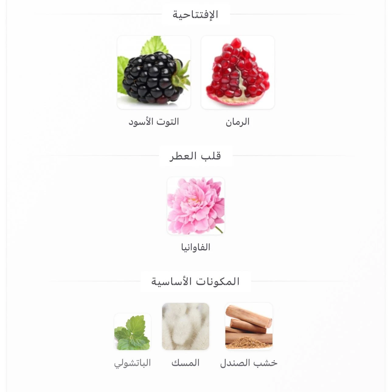 عطر كوين روز