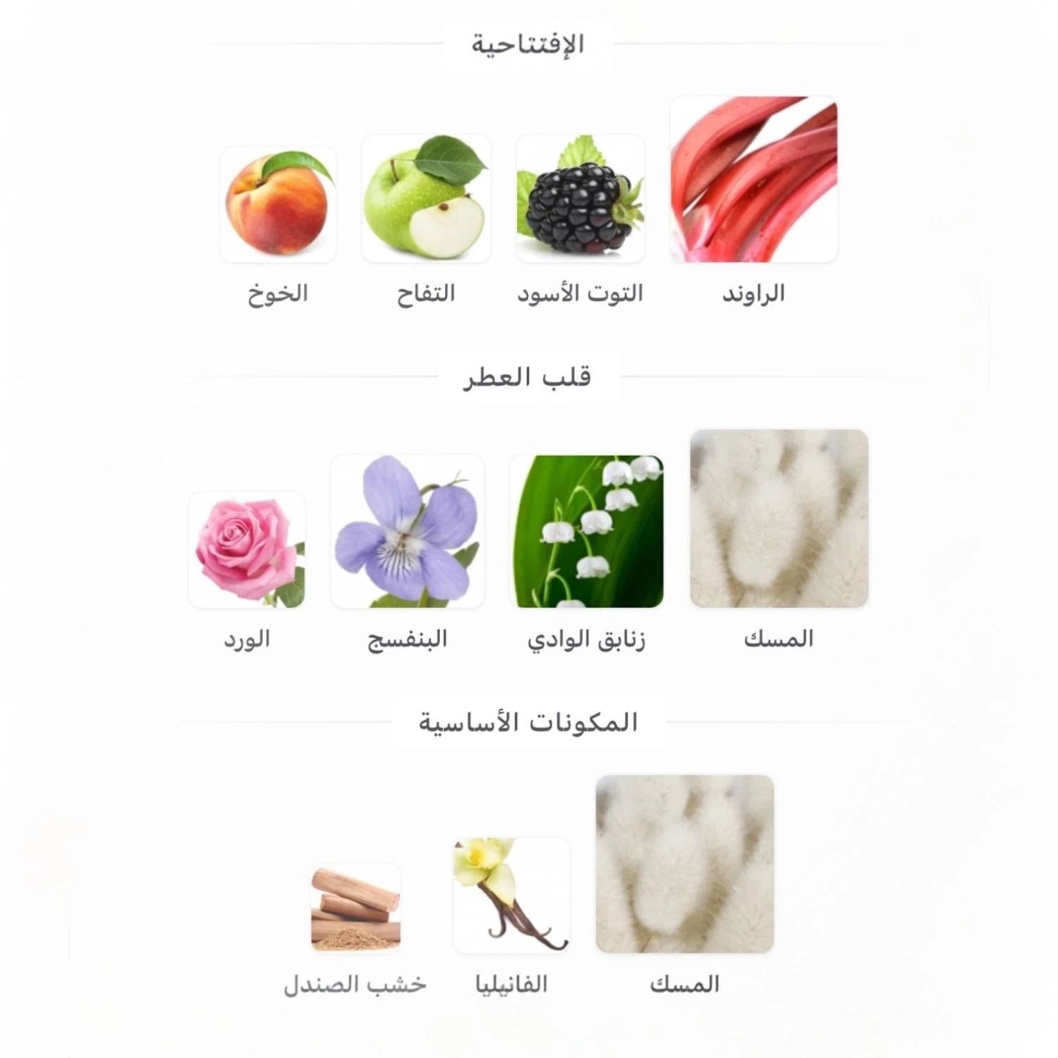 Musk Garden Perfume