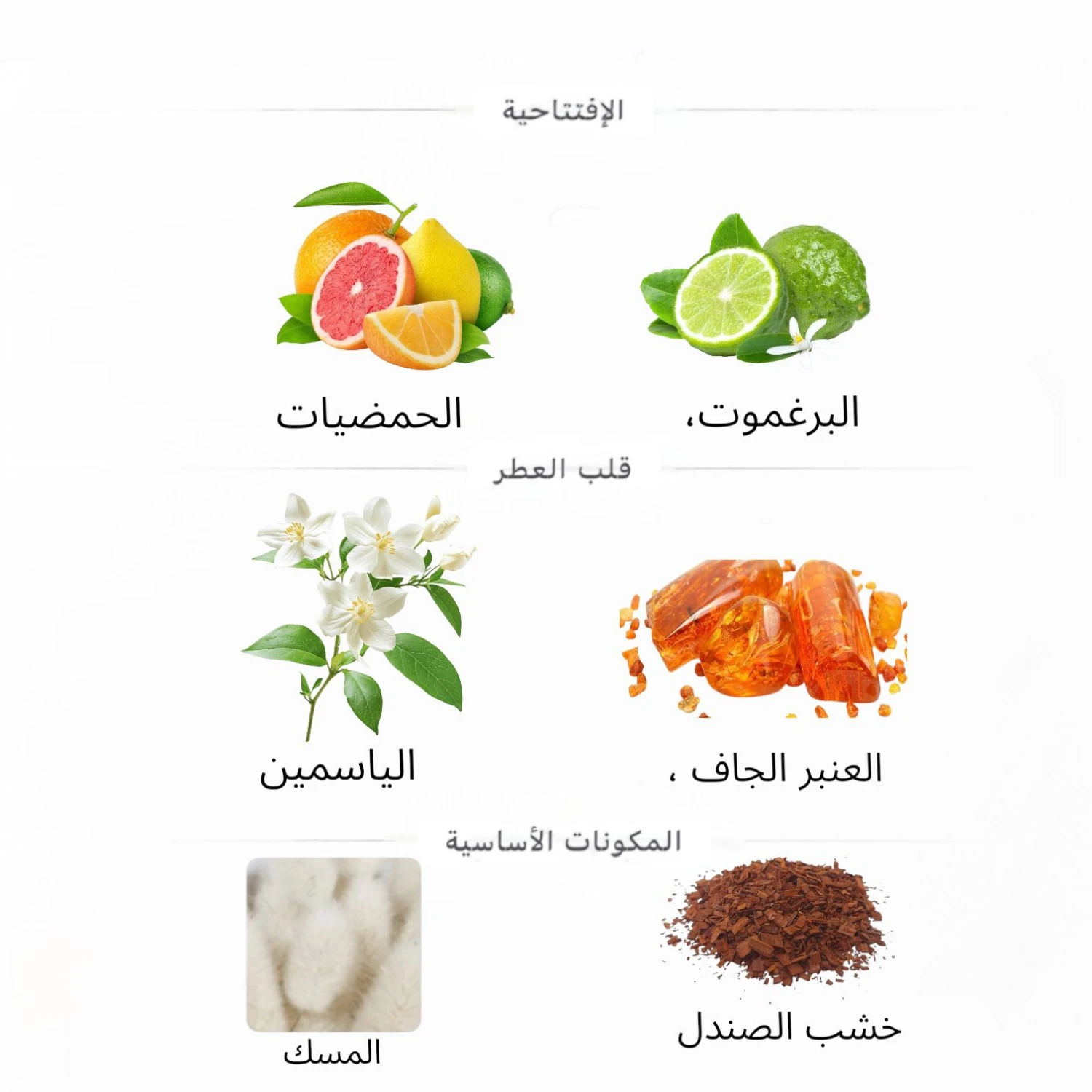 عطر فرانكل بيج افترنون