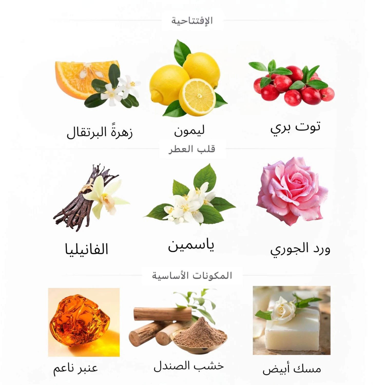 عطر بينك ليدي