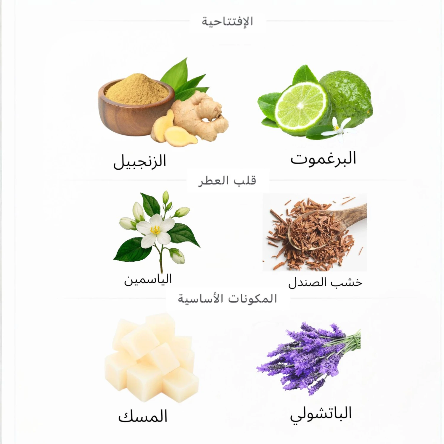 عطر اروكيت بلو دي