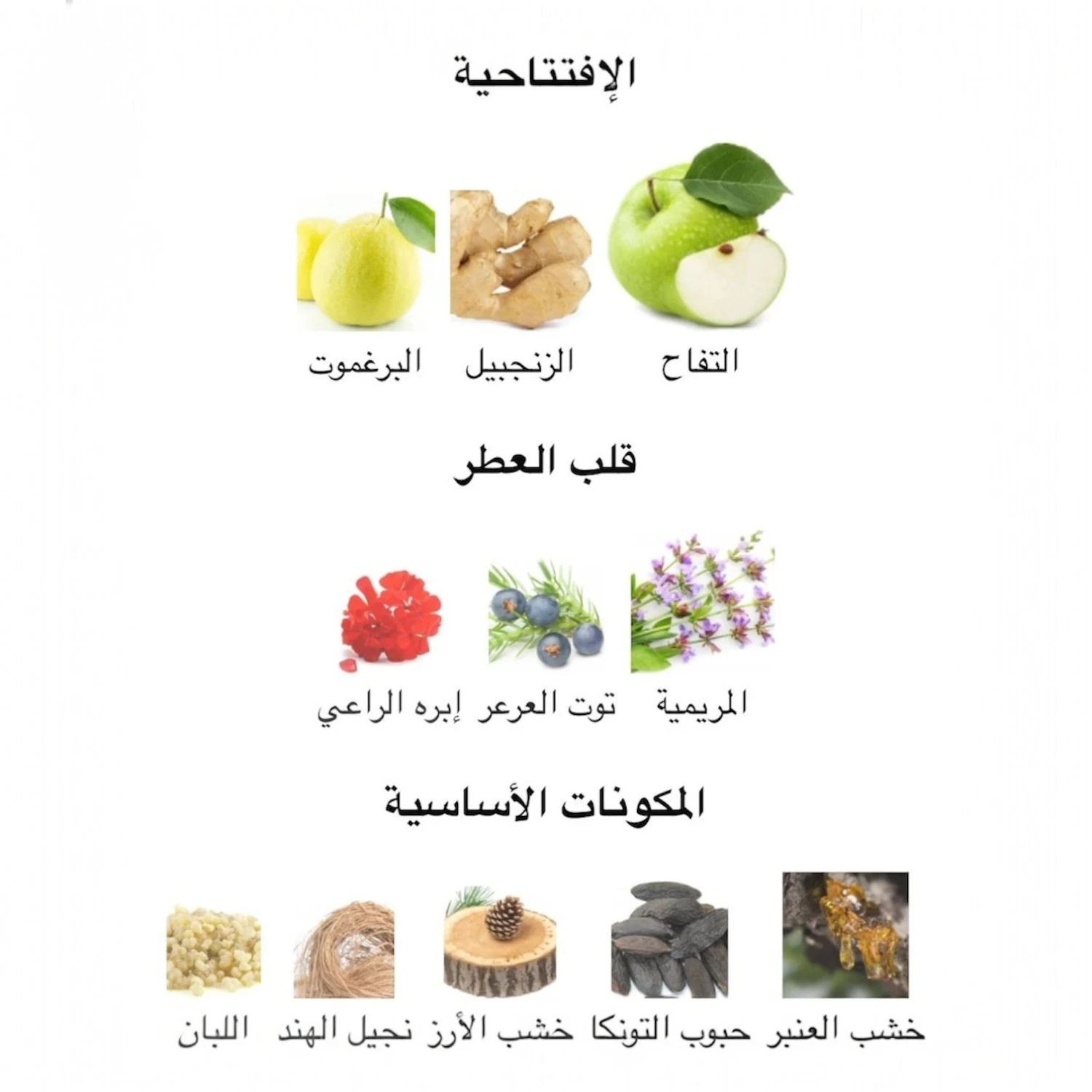 عطر واي اف سان لوران