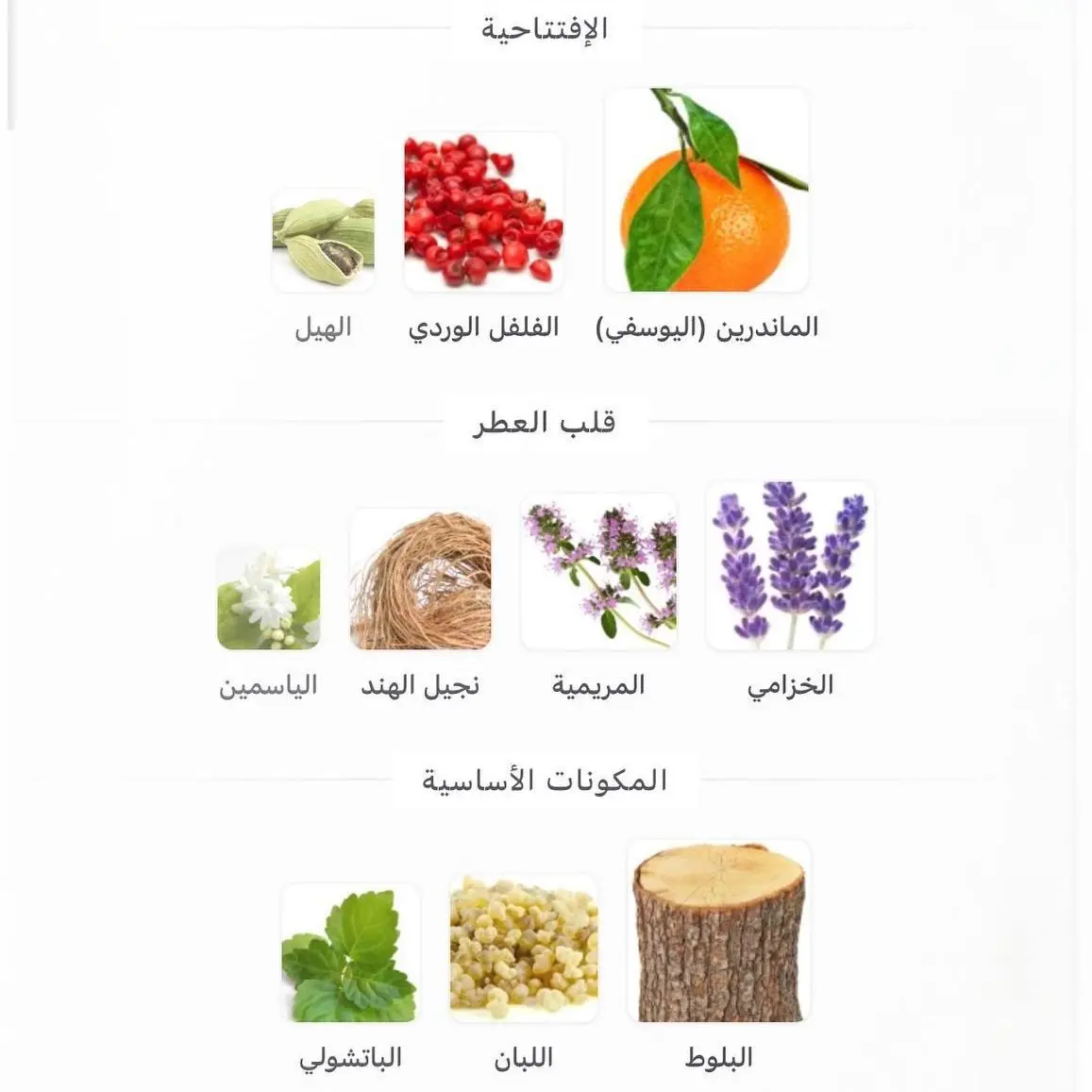 عطر بولو رالف لورين بلو