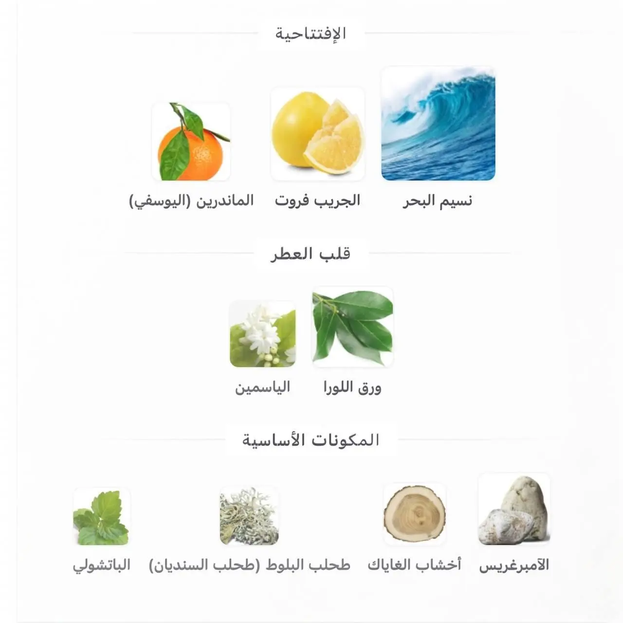 عطر انفيكتوس