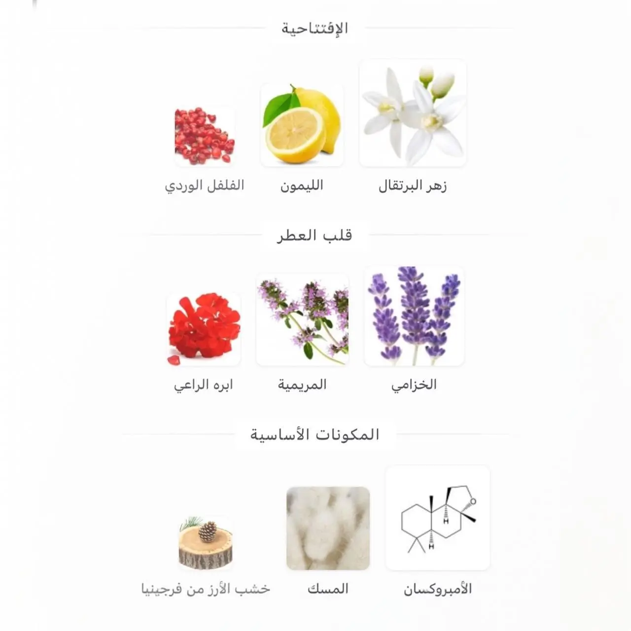 عطر فرزاتشي مان او فريش اكستريم