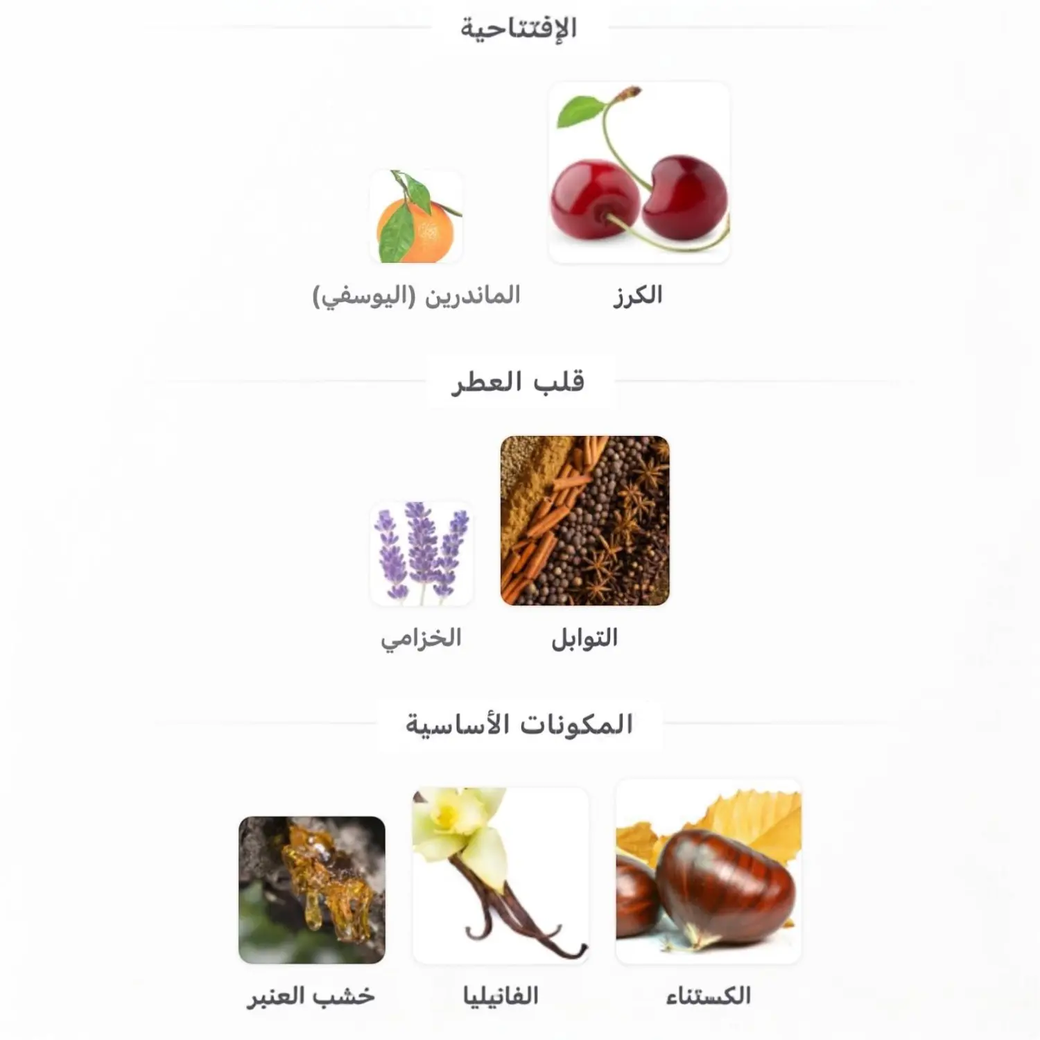 عطر  سترونغر وذ يو باورفولي