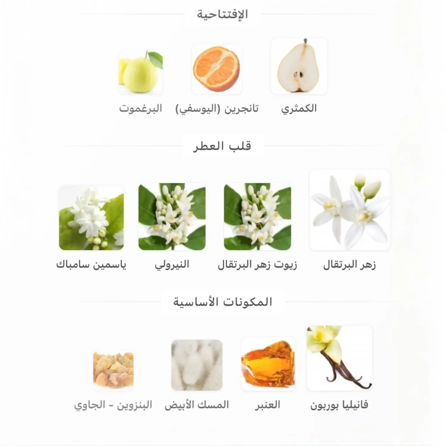 عطر  برادا بارادوكس