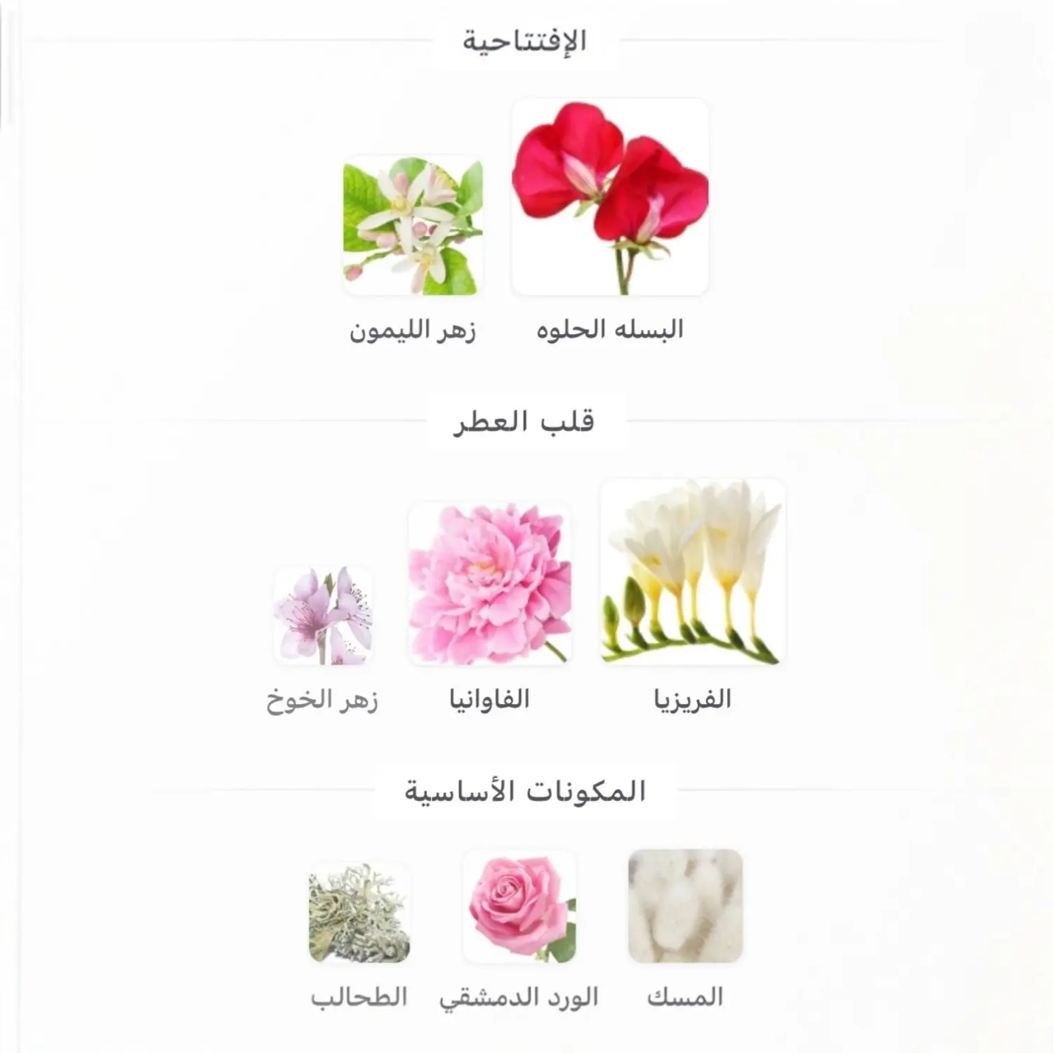 عطر ماي بربري 