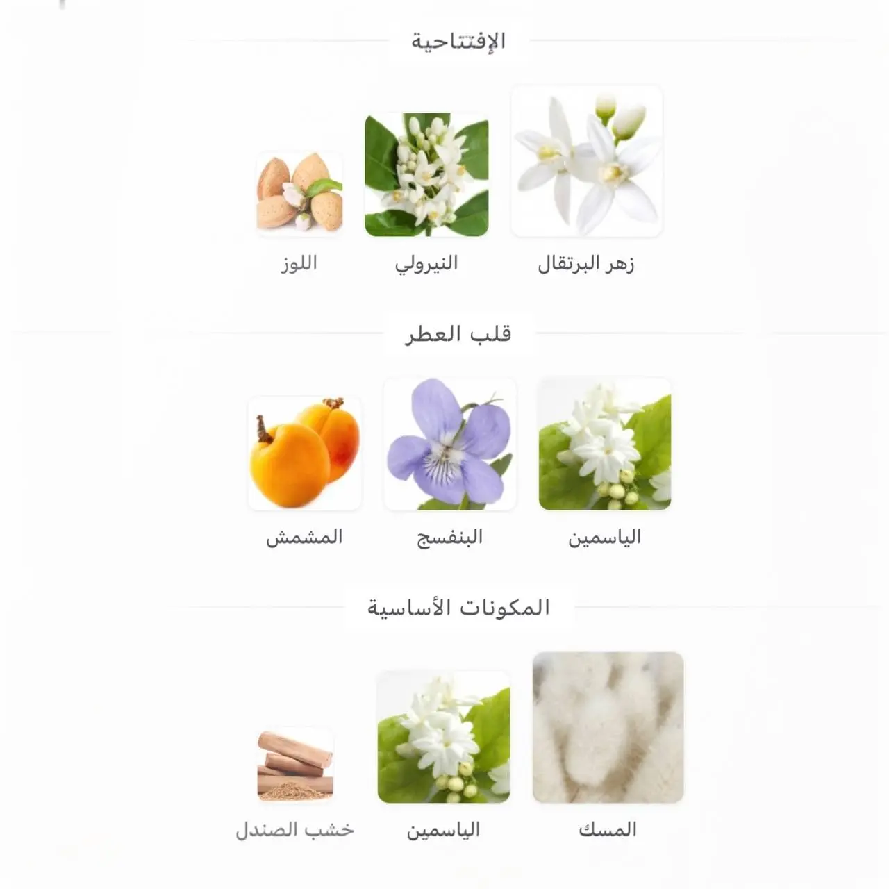 سيت عطر عساف اروغيت بينك