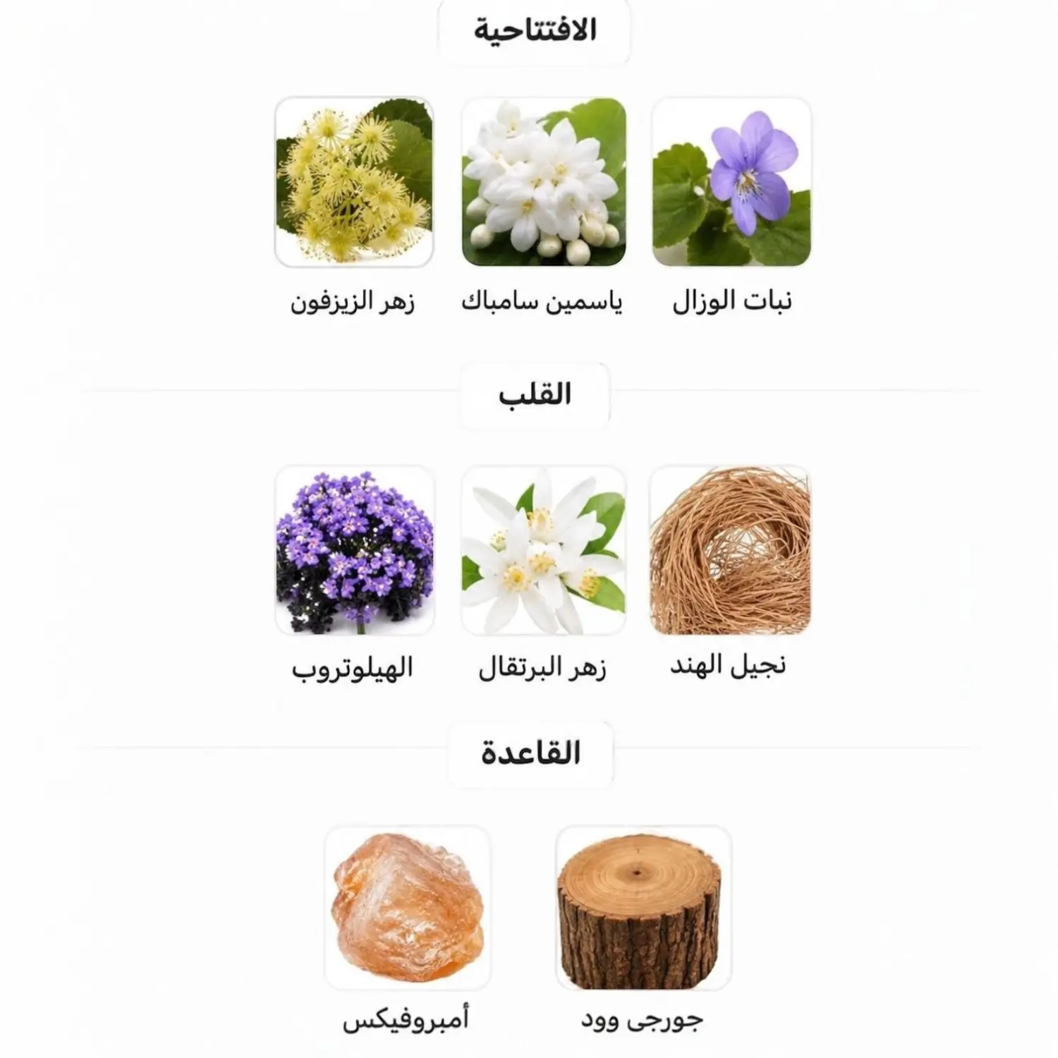 Hersh Mehwar Perfume