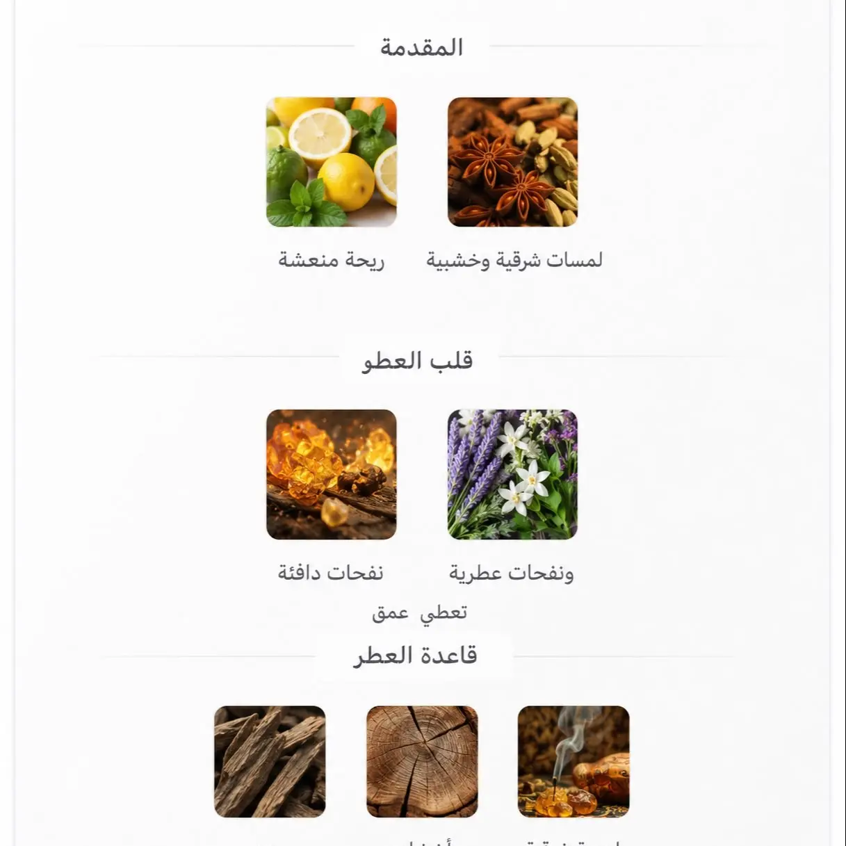 عطر هيرش العاصوف