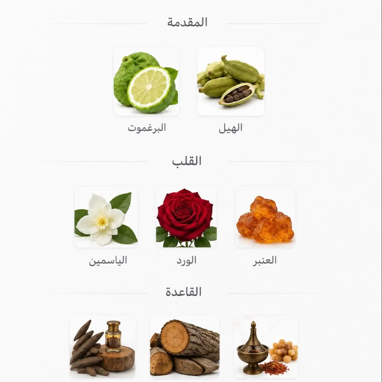 عطر هيرش روج